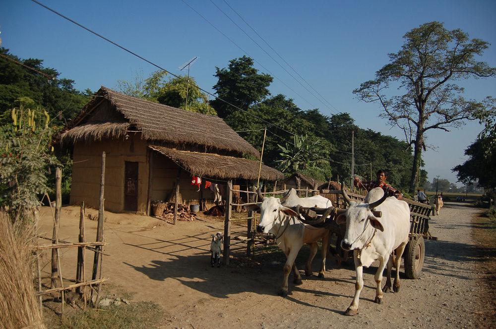 Kumarwarti Machan Country Villa מראה חיצוני תמונה